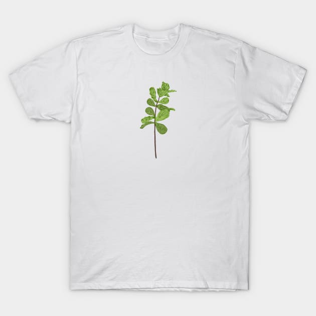 Fiddle Fig Botanical T-Shirt by Salfiart